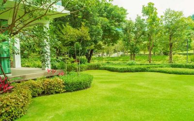 Landscapers in Erie, PA: Transform Your Outdoor Space with Our Lawn Care Services
