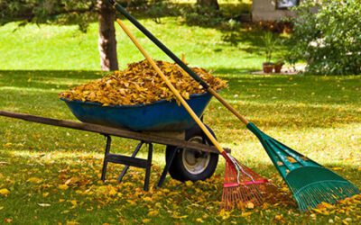 Seasonal Lawn and Yard Clean-Ups: Your Guide for a Perfect Lawn