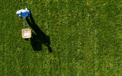 Lawn Care Myths: Truth Behind Common Misconceptions