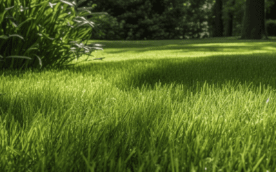 Affordable Lawn Mowing Services Near Me: Get a Free Quote Now