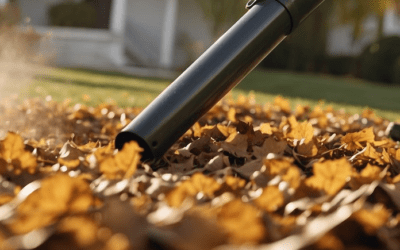 Best Leaf Removal Tools for Every Yard