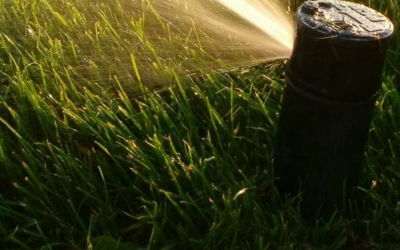 Best Times to Water Your Lawn in Erie, PA