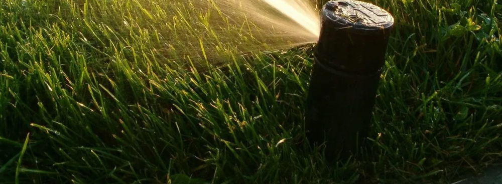 Best Times to Water Your Lawn in Erie area