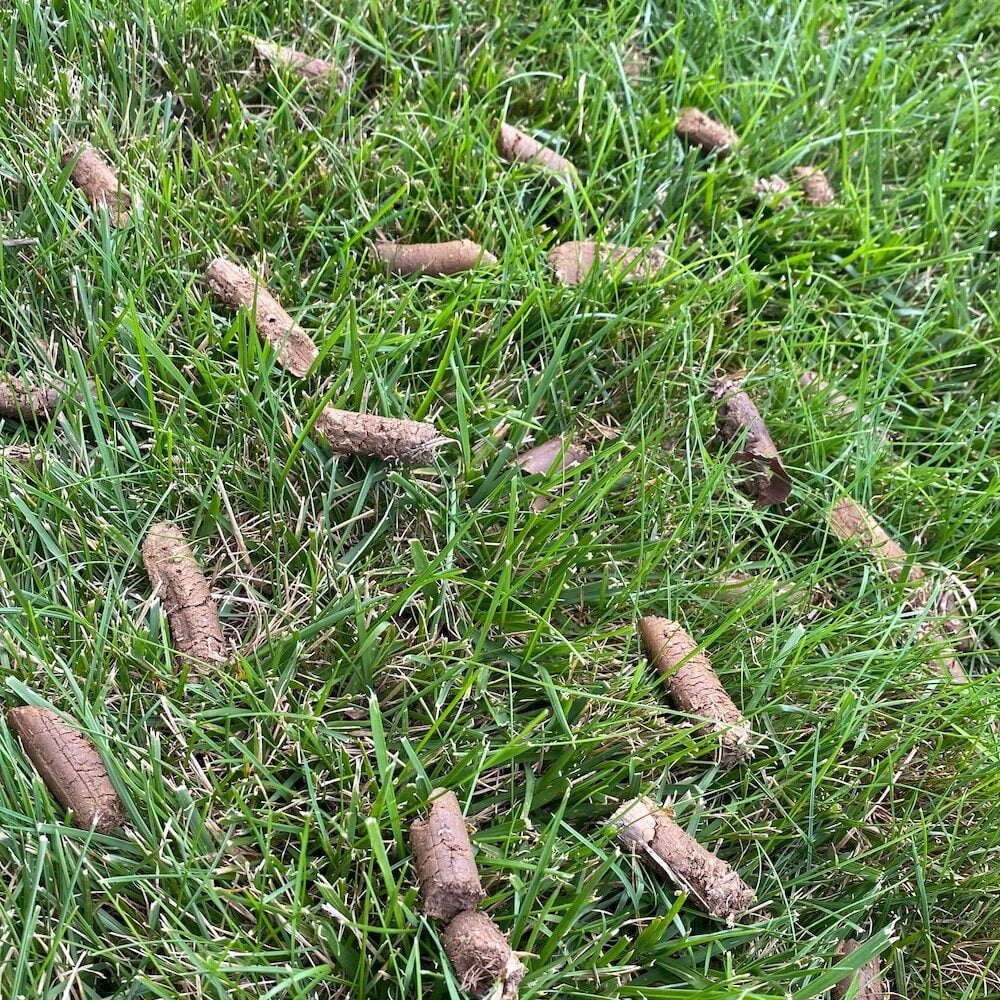 Leaf Removal Process