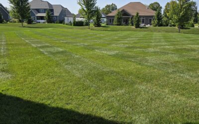 How Much Does Lawn Fertilization Cost in Erie, PA?