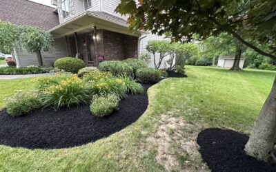Mulching Guide for Erie, PA Lawns: When, How Much, and Why It Matters